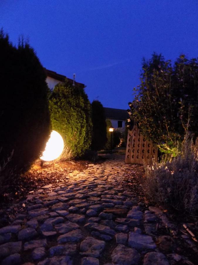 Domaine De La Mance - Maisonnette Avec Cheminee Vitrey-sur-Mance Exteriör bild