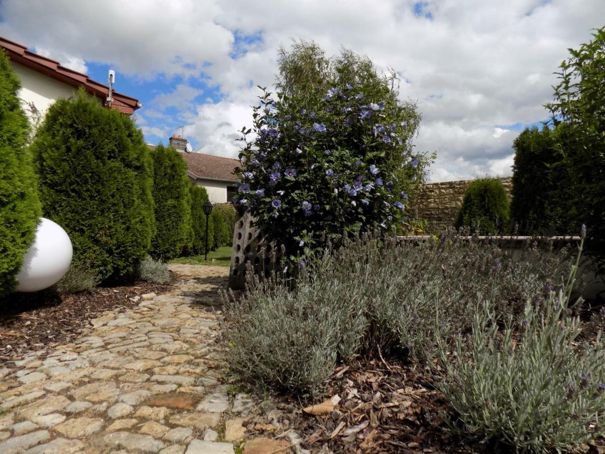 Domaine De La Mance - Maisonnette Avec Cheminee Vitrey-sur-Mance Exteriör bild
