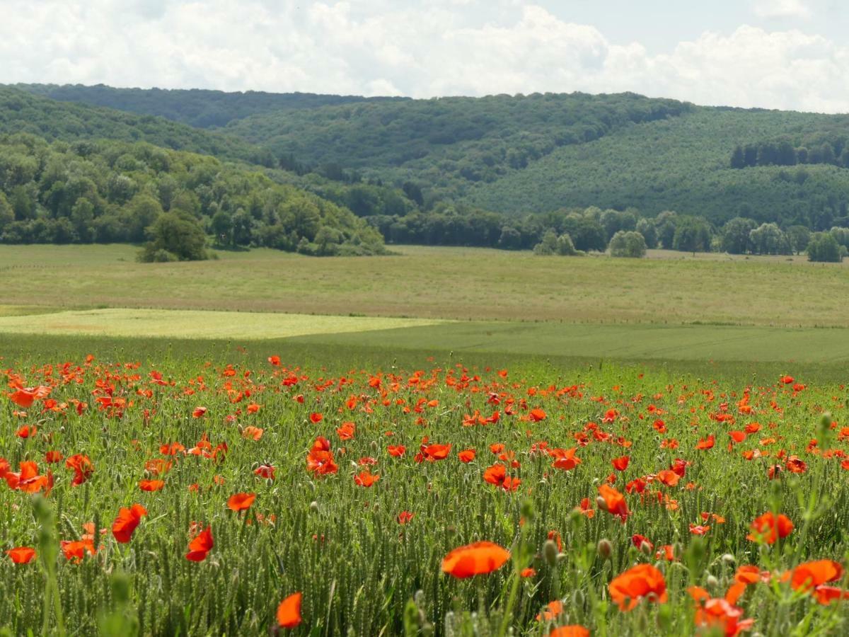 Domaine De La Mance - Maisonnette Avec Cheminee Vitrey-sur-Mance Exteriör bild