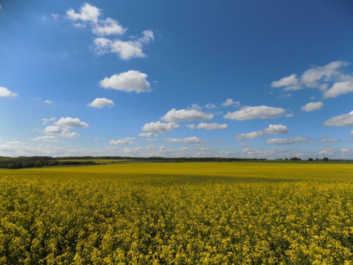 Domaine De La Mance - Maisonnette Avec Cheminee Vitrey-sur-Mance Exteriör bild